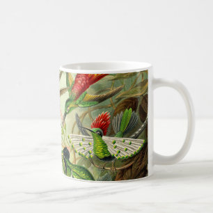 Taza De Café Colibrí del Trochilidae de Ernst Haeckel