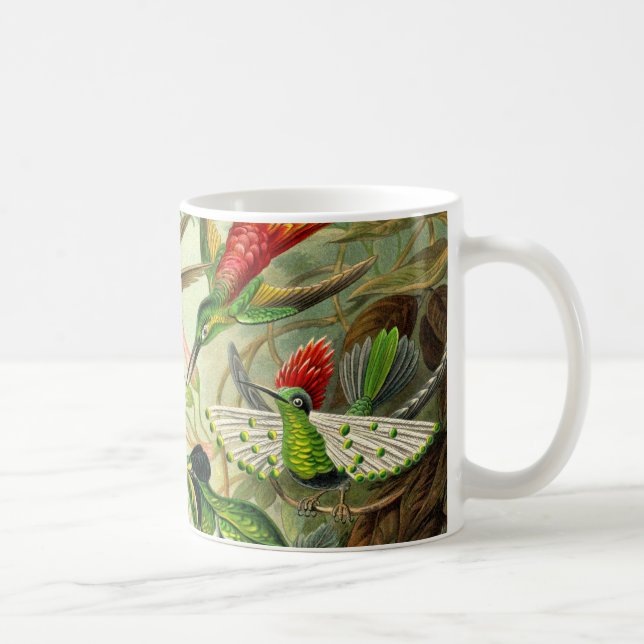 Taza De Café Colibrí del Trochilidae de Ernst Haeckel (Derecha)