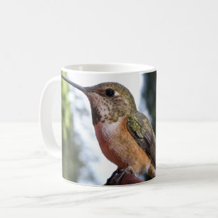 Taza De Café Colibrí Rufous Femenino - Mugs