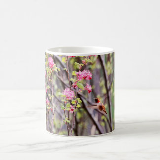 Taza De Café Colibrí y flores rosadas
