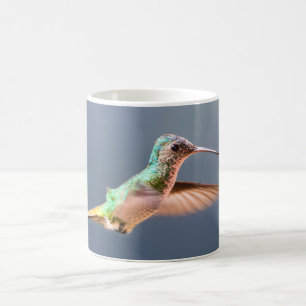 Taza De Café Colibrí Zafiro de Cola Dorada Hembra Volando