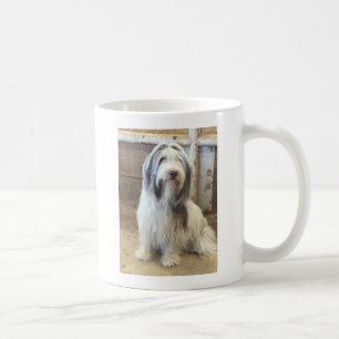 Taza De Café Collie con barba