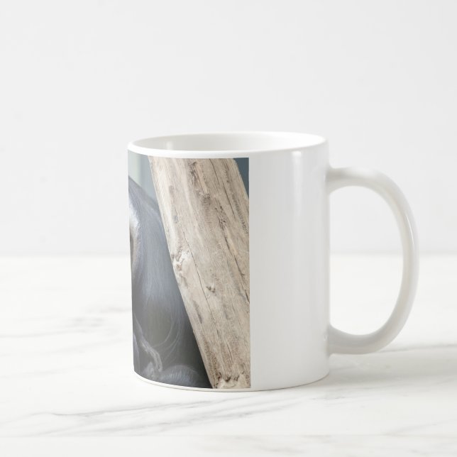Taza De Café Colobus polykomos (Derecha)