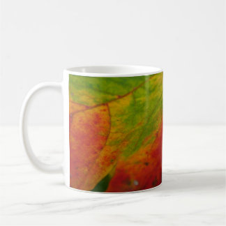 Taza De Café Colores de la fotografía de la naturaleza otoñal d