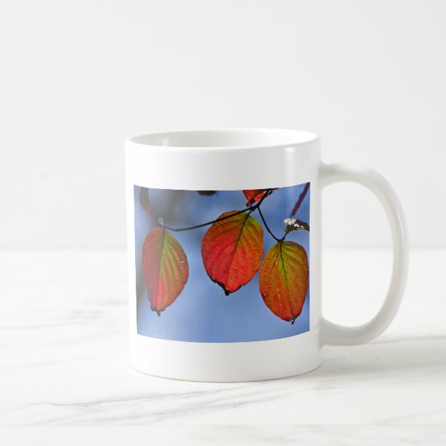 Taza De Café Coloridas hojas otoñales iluminadas Trio (Derecha)