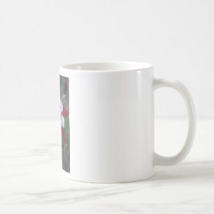 Taza De Café Columbina