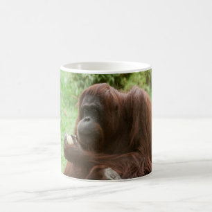 Taza De Café Comer Orangutan