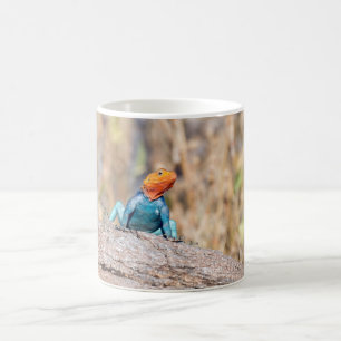 Taza De Café Common Agama