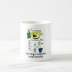 Taza De Café Cómo Crecer Un Árbol De Aguacate
