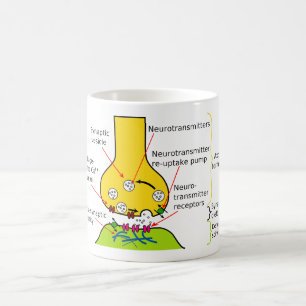 Taza De Café Cómo las señales del nervio se envían con sinap