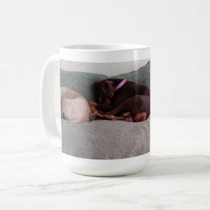 Taza De Café Compañeros