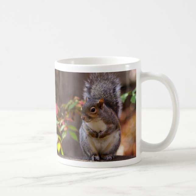 Taza de café con ardilla rogando pacientemente (Derecha)