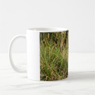 Taza de Café con Cachorro de Tigre Sentado en la H