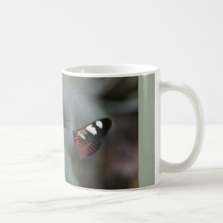 taza de café con dos mariposas