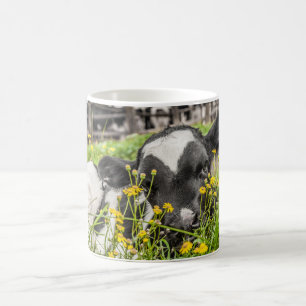Taza de café con el becerro