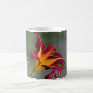 taza de café con el lirio rojo y amarillo