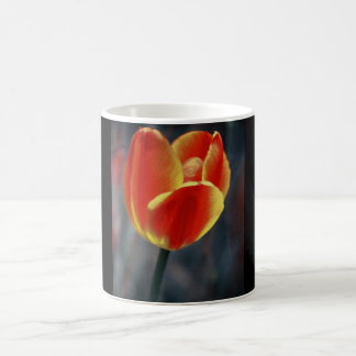 taza de café con el tulipán rojo