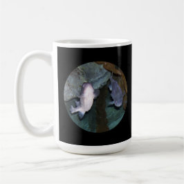 Taza de café con foto de pez Yin Yang nueva