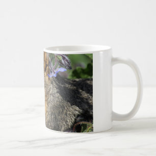 taza de café con la ardilla