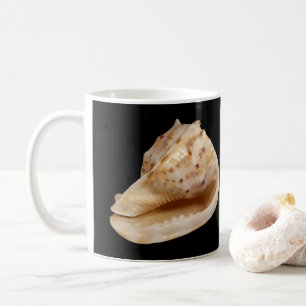 Taza De Café Conch Shell Mug