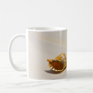 Taza De Café Concha Shell en la playa 3