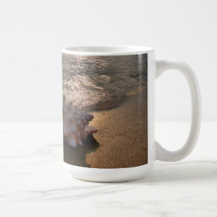 Taza De Café Concha Shell en la playa el St Augustine, la