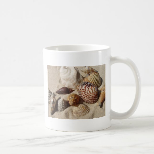 Taza De Café conchas marinas, conchas marinas (Derecha)