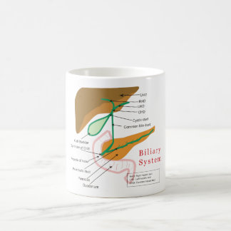 Taza De Café Conducto biliar biliar de la carta del diagrama de