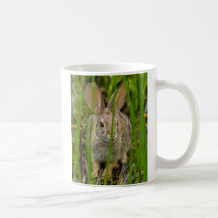 Taza De Café Conejo de cola blanca del desierto