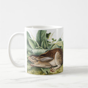 Taza De Café Conejo de liebre de cola negra (Lepus negricaudatu