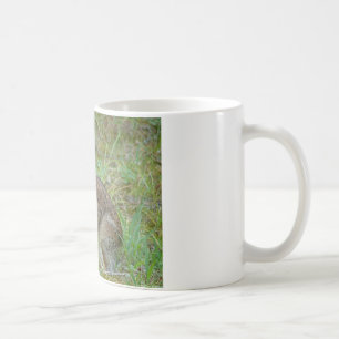 Taza De Café Conejo Salvaje Algodoncillo Oriental II Ropa y Reg