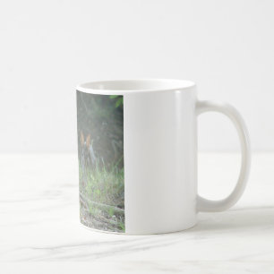 Taza De Café Conejos salvajes Regalos de ropa de cola de algodó