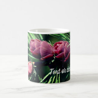 Taza De Café Cones de pino-bebé personalizados