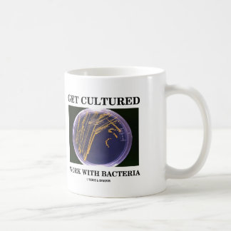 Taza De Café Consiga el trabajo cultivado con las bacterias (la