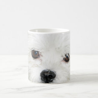 Taza De Café ¡Consiguió amarme!