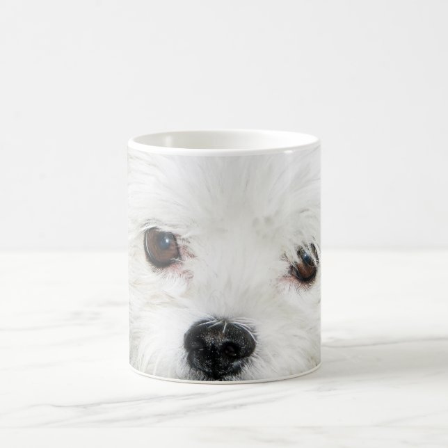Taza De Café ¡Consiguió amarme! (Centro)