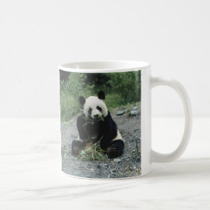 Taza De Café Consumición de la panda