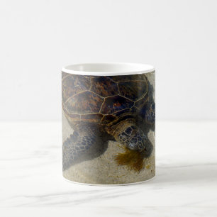 Taza De Café Consumición Limu de Honu