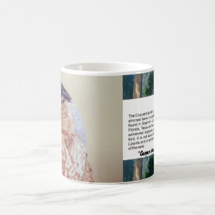 Taza De Café Coopers Hawk
