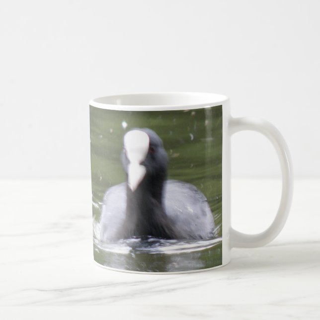 Taza De Café Coot Swimming Mug (Derecha)