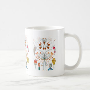 Taza De Café Copepods