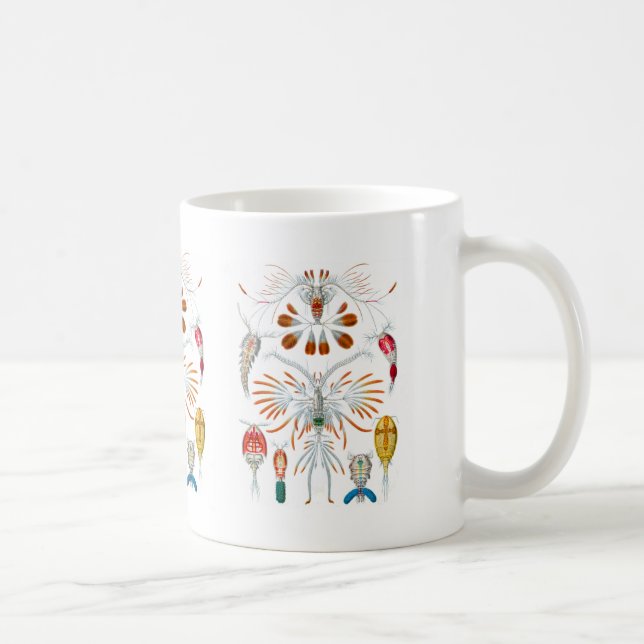 Taza De Café Copepods (Derecha)