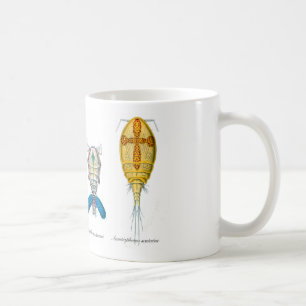 Taza De Café Copepods