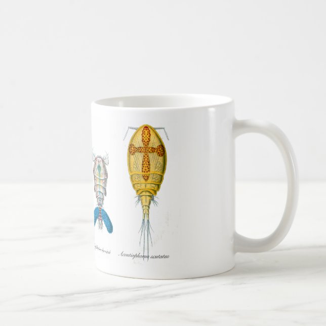 Taza De Café Copepods (Derecha)