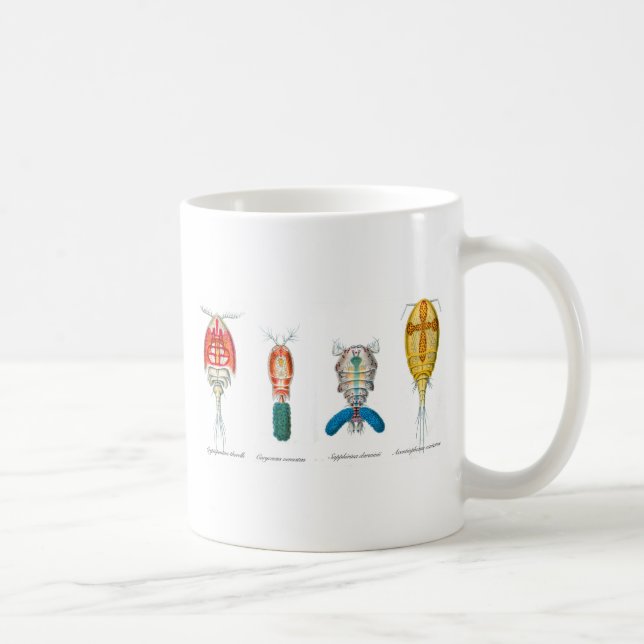 Taza De Café Copepods (Derecha)