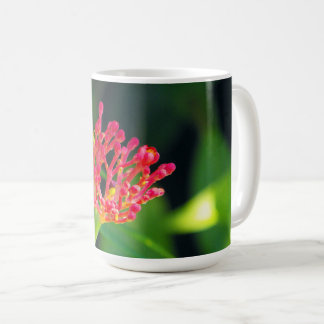 Taza De Café Coral Bush en flor