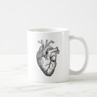 Corazón anatómico