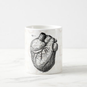 Taza De Café Corazones cardiacos retros de la anatomía del