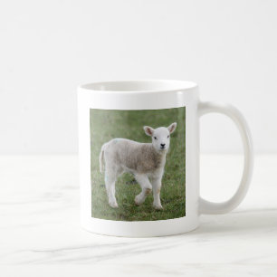 TAZA DE CAFÉ CORDERO