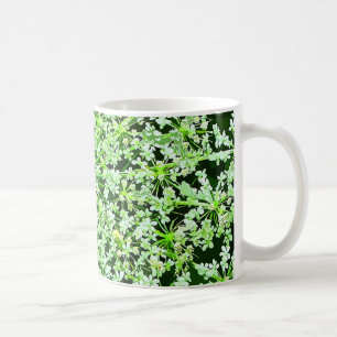 Taza De Café Cordón de la reina Annes